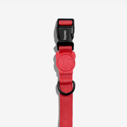 Ошейник NEON CORAL Zee.Dog
