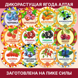 Барбарис сушеный.