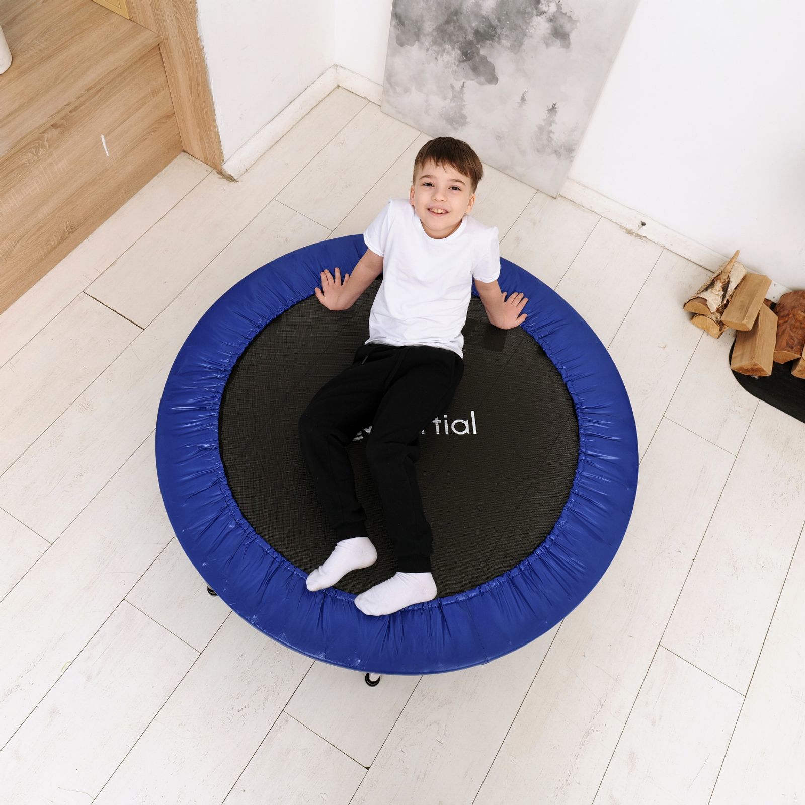 Батут DFC Kinertial 48'' синий фото №15