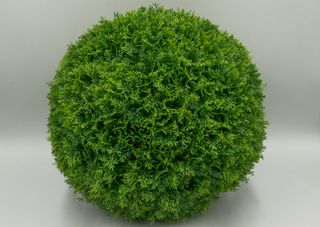 Искусственные растения