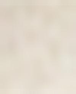 Zara Home кухонные щипцы из нержавеющей стали, цвет кремовый, 22 см
