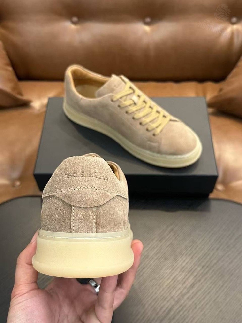 Кеды Kiton