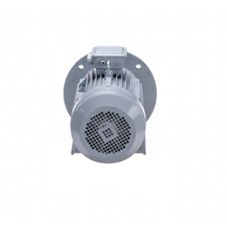 Электродвигатель ESQ PR 100 L2 GST-Б1-S12-IE2 5,5/3000 IM2081