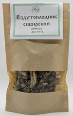 Вздутоплодник сибирский (корень)