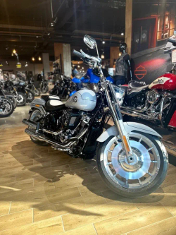 Harley-Davidson Fat Boy 117 Billiard Gray, 2025 c НДС