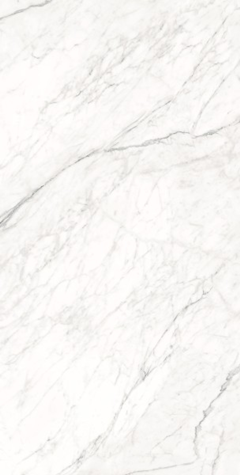 MONTESA WHITE CZ-GL07-B