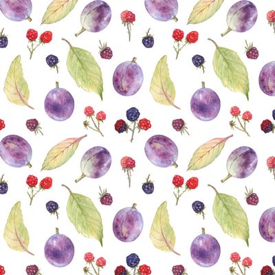 Сливы и ежевика на белом. Plums and blackberry on white