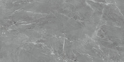 Керамогранит Eva Gris Polished 60x120