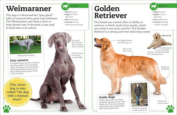 My Book of Dogs and Puppies