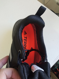 Кроссовки Adidas Terrex