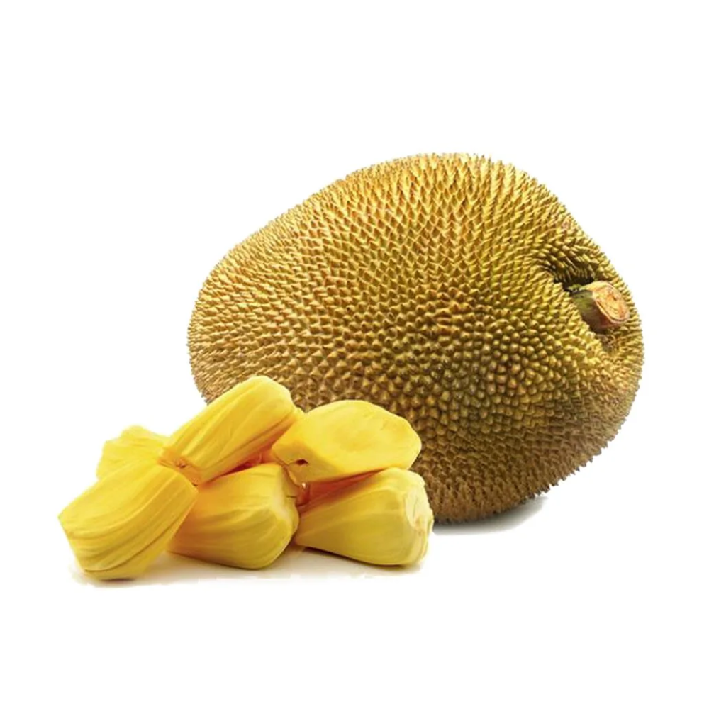 Джекфрут шт