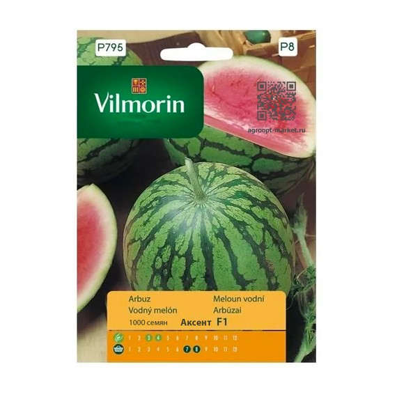 Аксент F1 семена арбуза Vilmorin Вильморин – фото 2