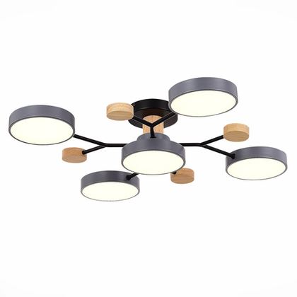 Светильник потолочный Evoluce Faema SLE6006-702-05