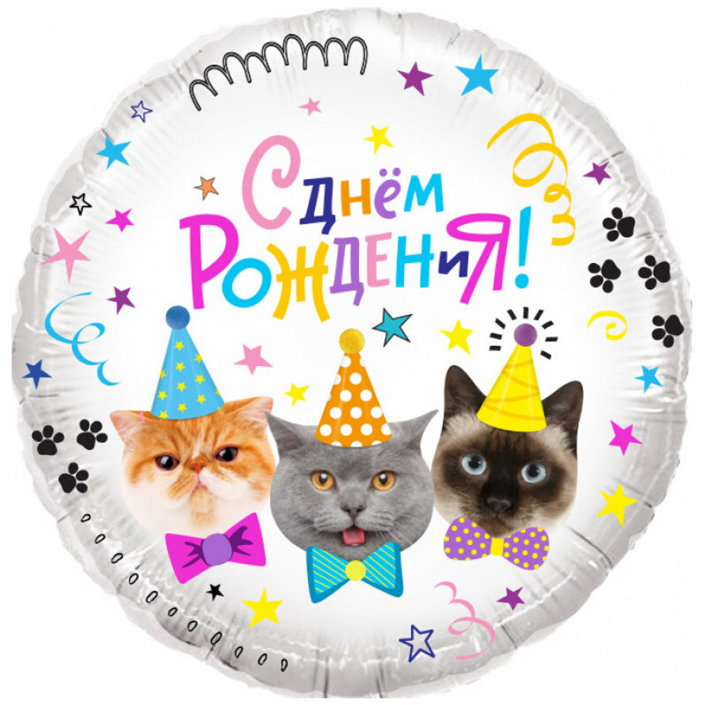 Шар круг 46 см Котики, С Днем Рождения!