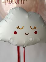 Воздушные шары на выписку для девочки №8877