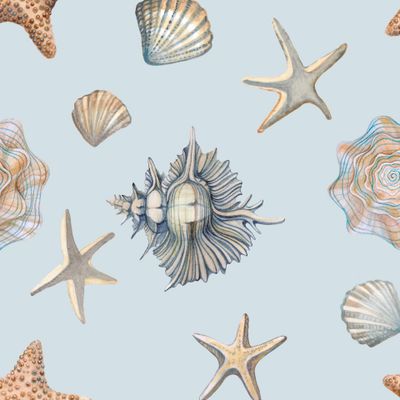 Морские звезды на сером