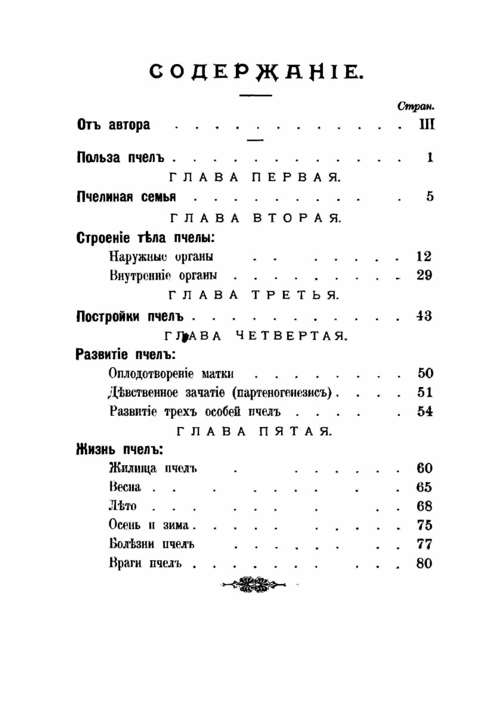 Пчелы и их жизнь | М.А. Дернов
