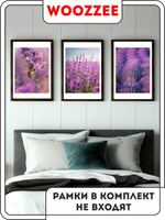 Набор постеров "Красота Лаванды" 3шт.