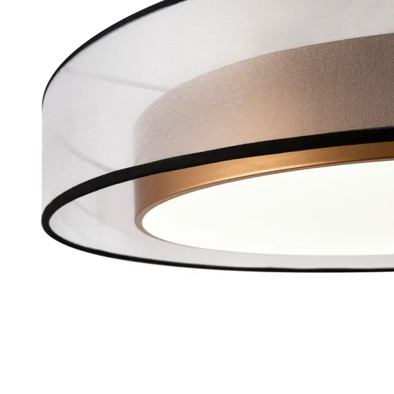 Потолочный светильник Зотикус / Zoticus Freya fr6005cl-l48g