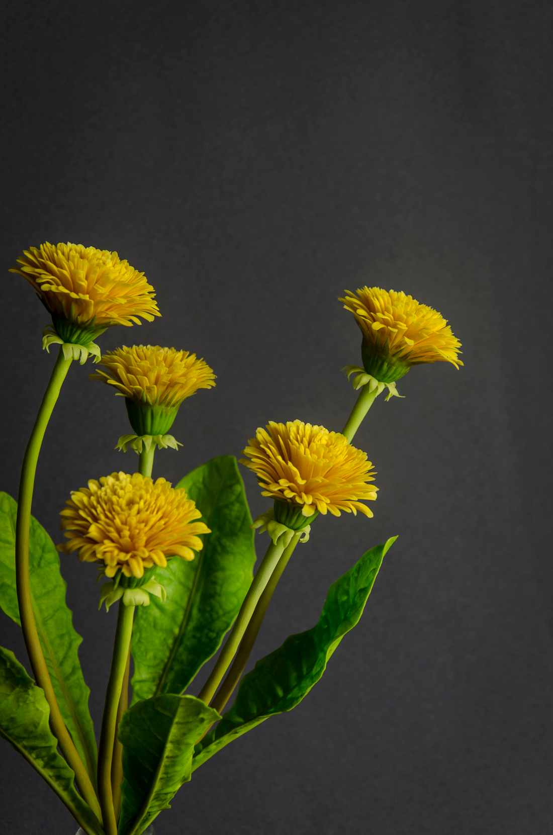 Наши инструменты в работе