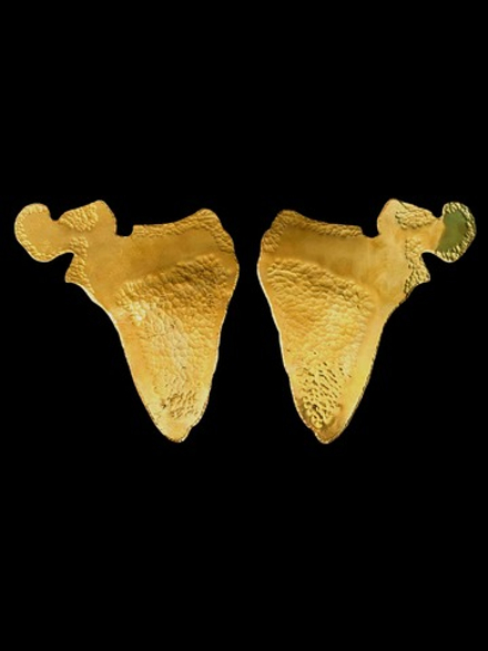 Брошь ЛОПАТКИ (под заказ)