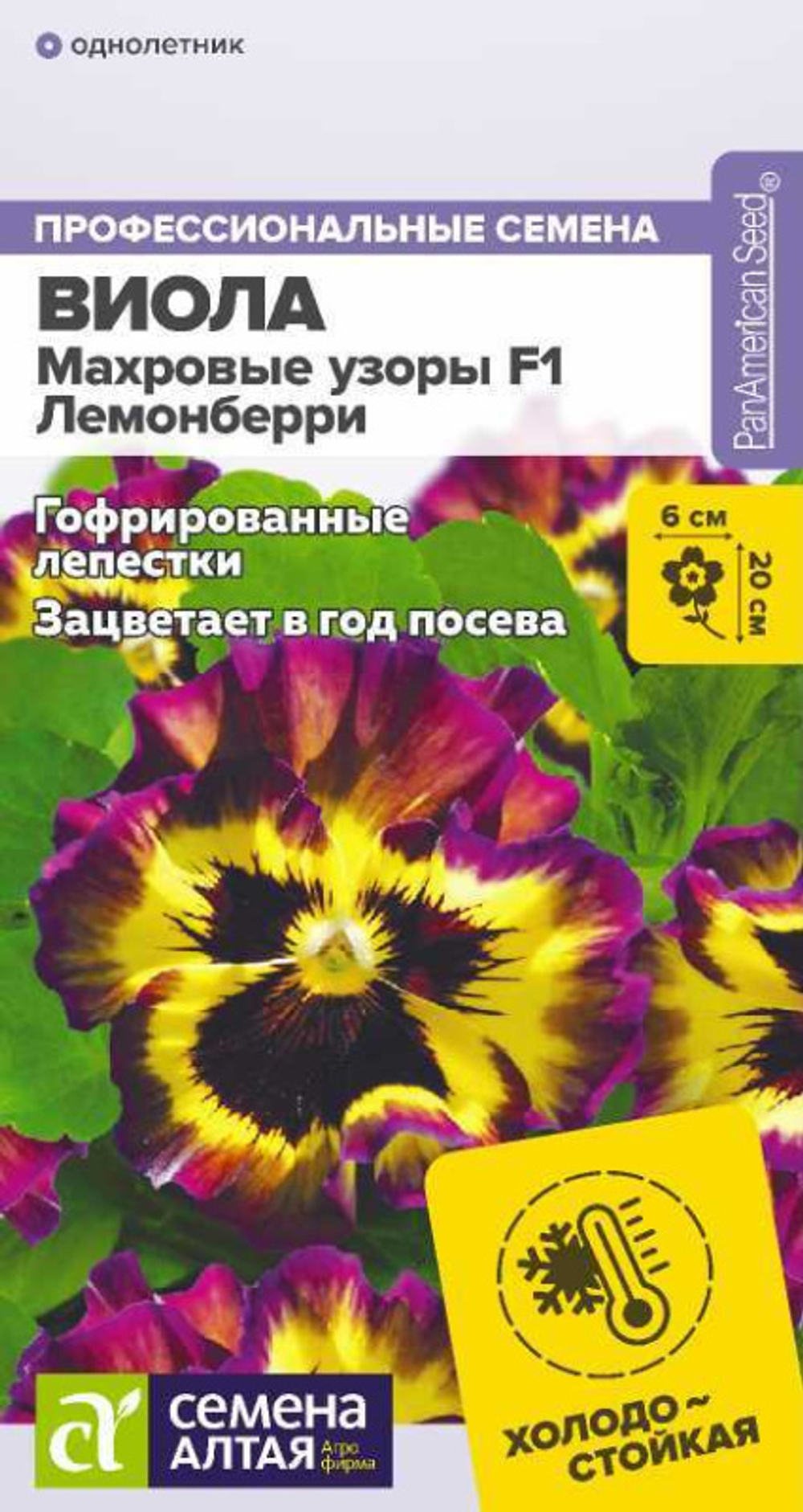 Виола Махровые узоры Лемонберри F1