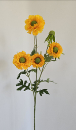 Скабиоза / Арт 2484