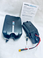 Литий-ионный Аккумулятор Лягушка для электровелосипеда на 48V/7,8Ah