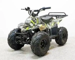 Электроквадроцикл Green Camel Гоби K51 (36V 800W R7 Цепь) ножной тормоз