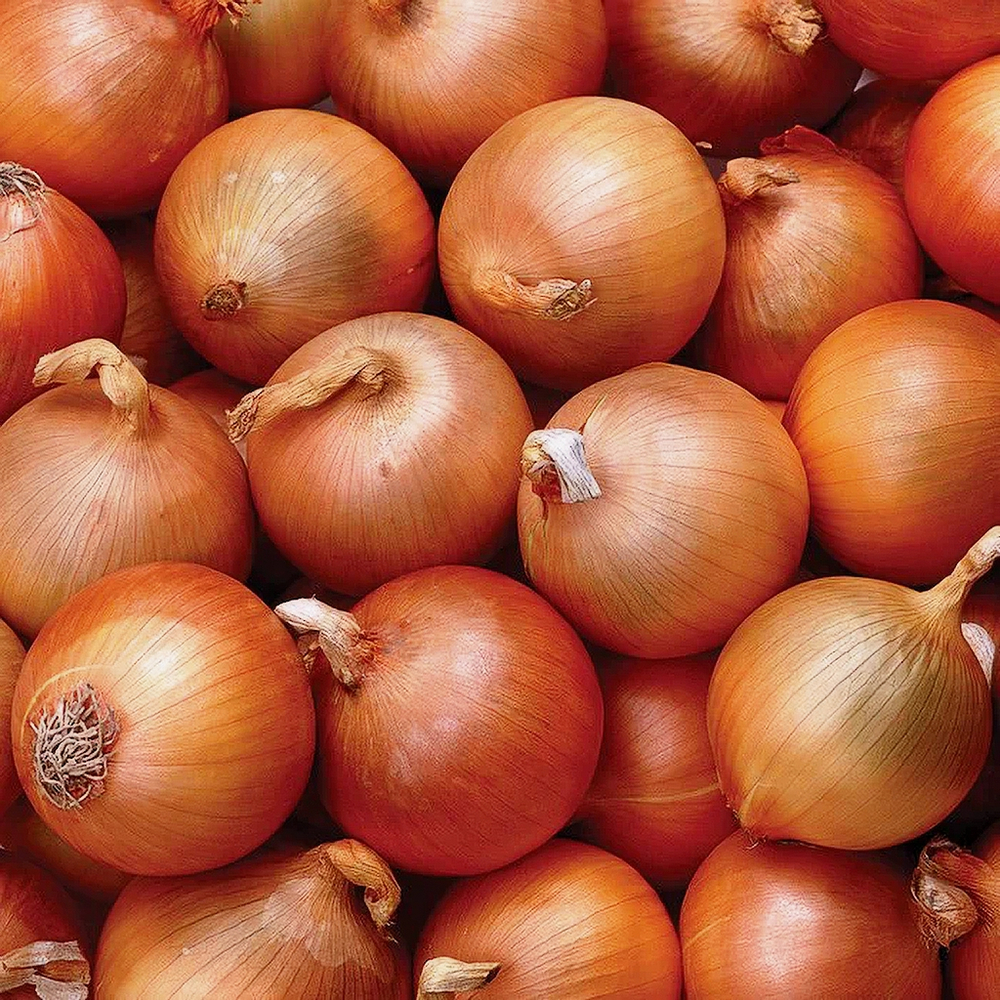 ЛУК репчатый (Вес)