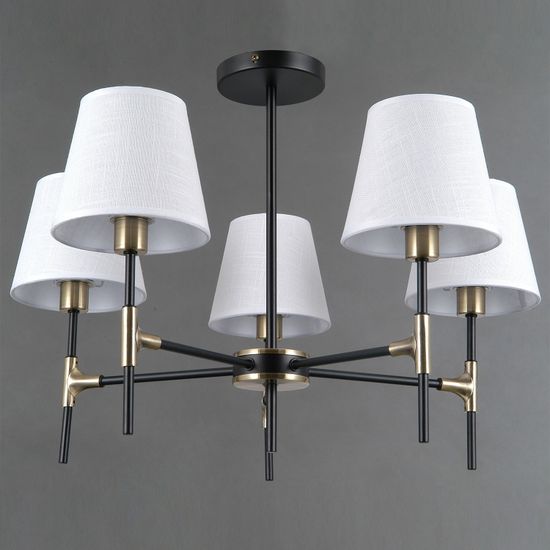 IL0185-5CSQ-24 BK AB CASTOR светильник потолочный