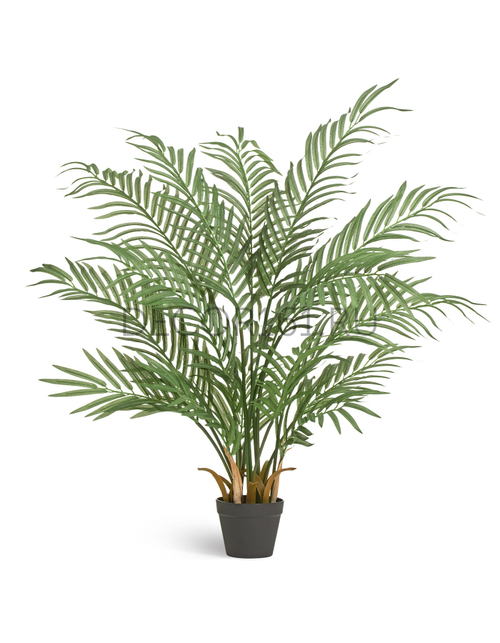 Пальма Арека Форест 110 см (15 веток) 2/2 10.011381N