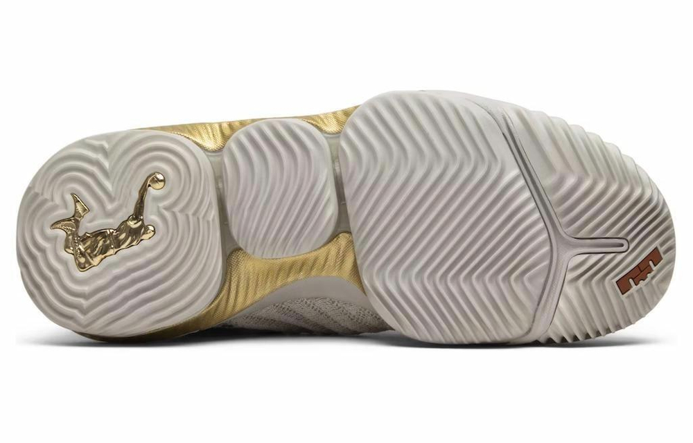 Кроссовки Nike Lebron 16 Hfr (Женская размерная сетка)