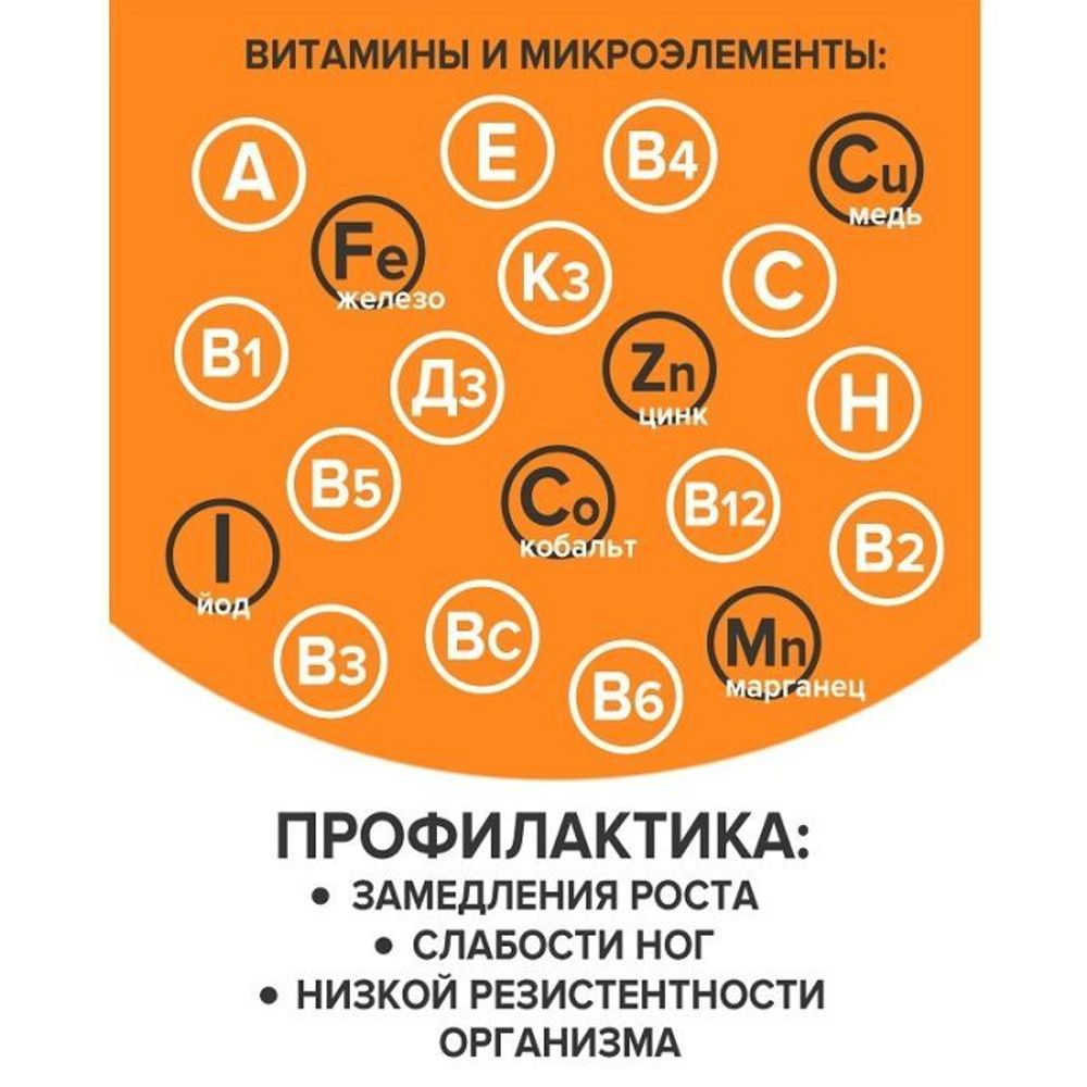 Премикс "Биокорм" для цыплят 1 кг