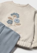 толстовка с брюками