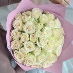 Розы кения белые (Premium) 31 шт