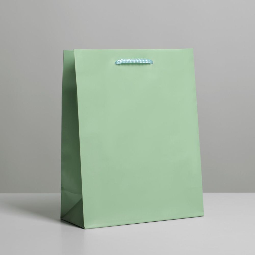 Пакет подарочный S вертикальный, Ламинированный, Зеленый, 18*23*8 см (Д*В*Ш)