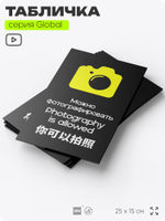 Табличка Можно фотографировать, на дверь и стену, информационная и мультиязычная (русский, английский, китайский), серия GLOBAL, 25х15 см, Айдентика Технолоджи