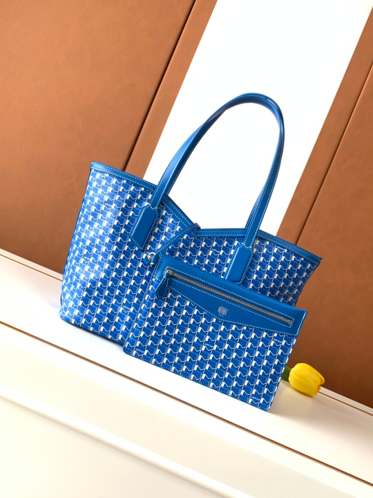 Moynat M Tote PM