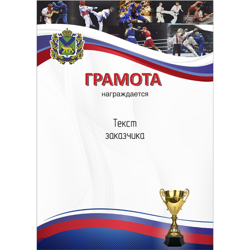 PNDiploma-012 с текстом