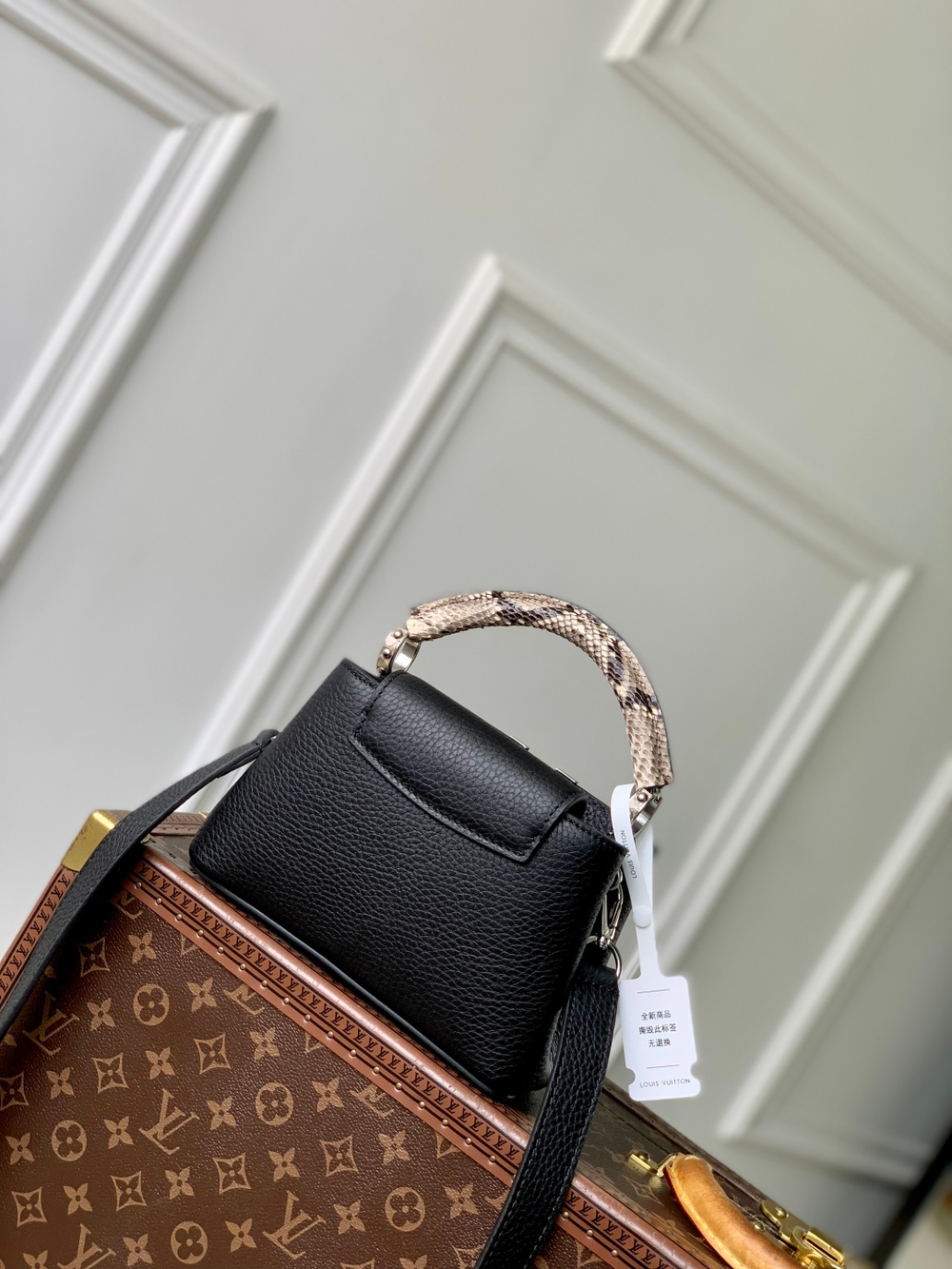 Louis Vuitton Capucines Mini