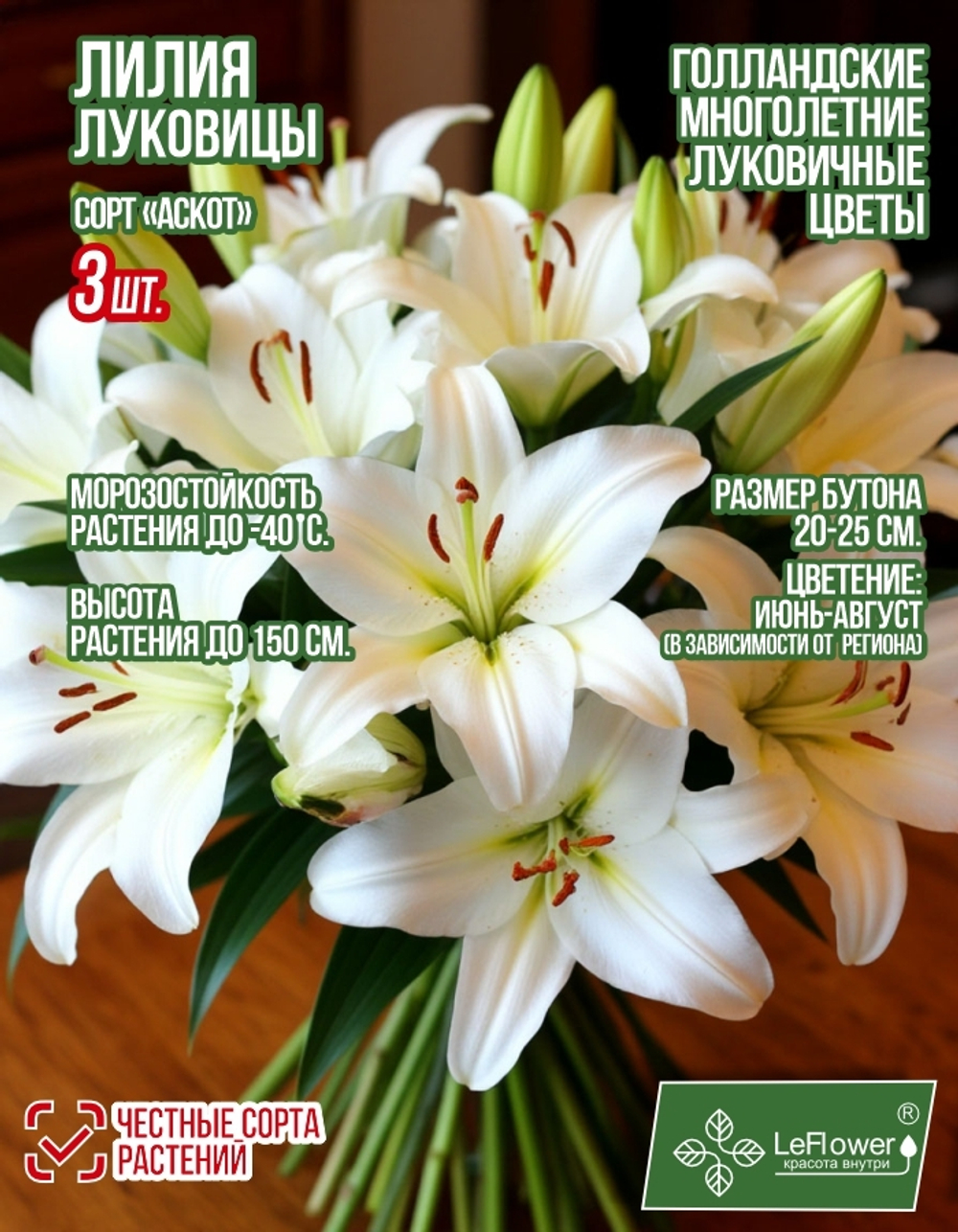 Лилия Луковица, Аскот 3 шт