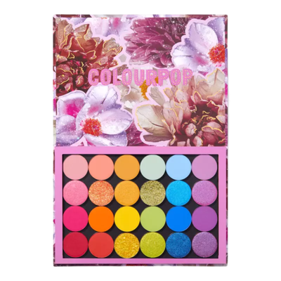 ColourPop She a Rainbow palette