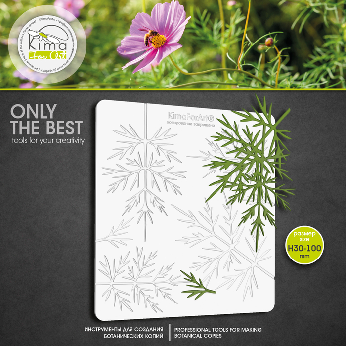 Космея листья