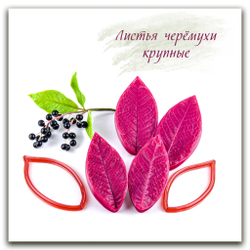 Листья черемухи большие