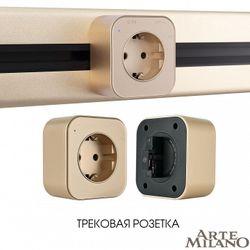 Розетка с заземлением на треке Arte Milano Am-track-sockets 380022TS/ES Gold