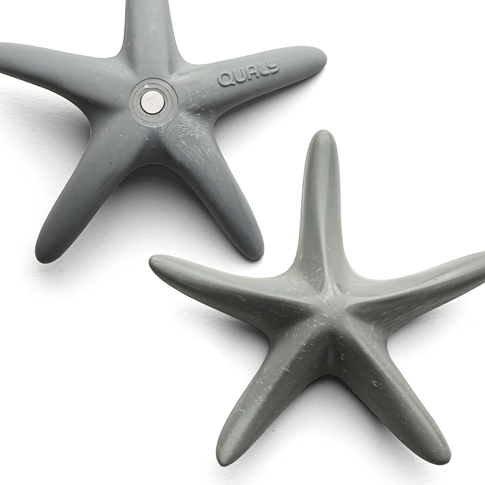 Магнит sea star