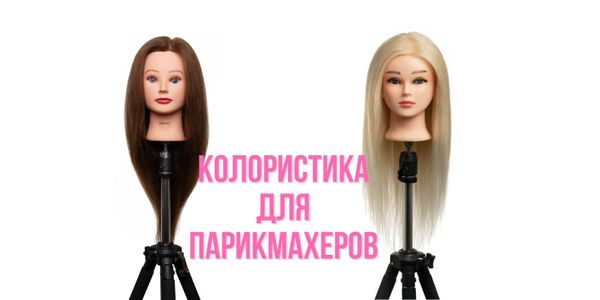 Колористика для парикмахеров