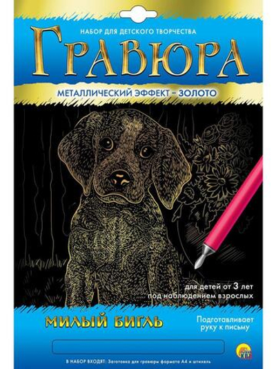 Гравюра А4 в конверте. Золото "Милый бигль" ( Арт. Г-5976)