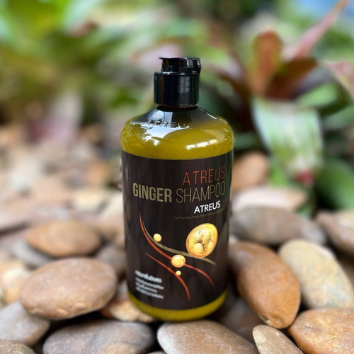 Шампунь лечебный для роста волос на основе имбиря Ginger Shampoo Atreus